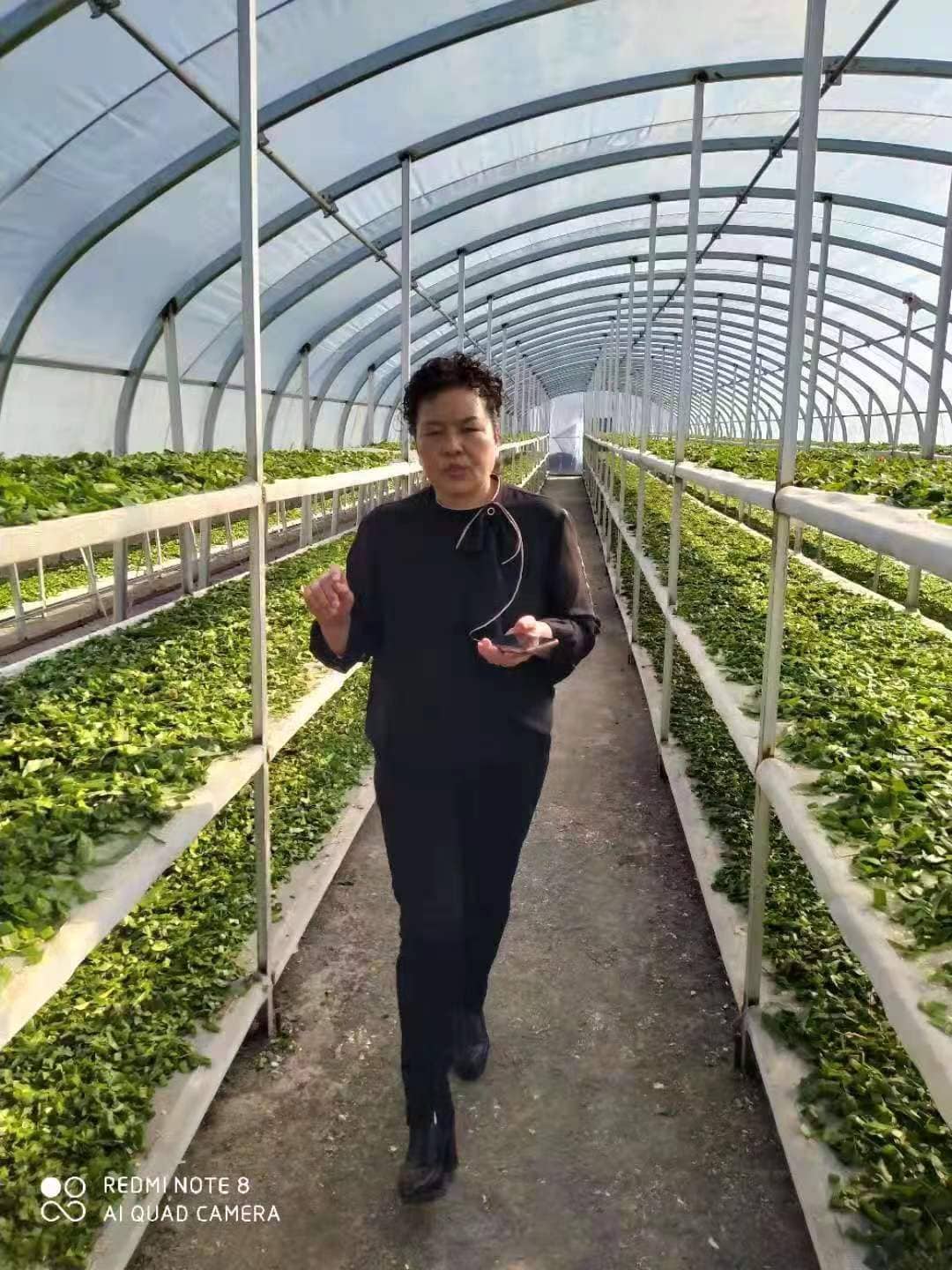 基地环境